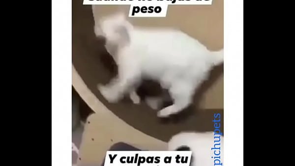 Me follo una venezolana culona rica