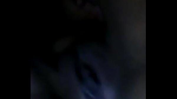 MI potra en venezuela 4