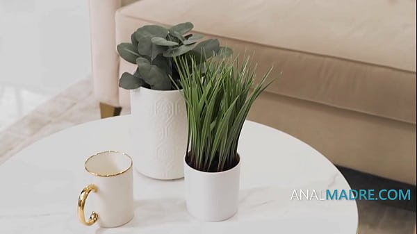 Hole Family Support – (Stepmom’s Deep Therapy) – Aderes Quin | AnalMadre